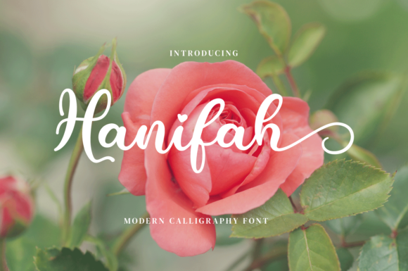 Hanifah: A Modern Script Font for Crafters
