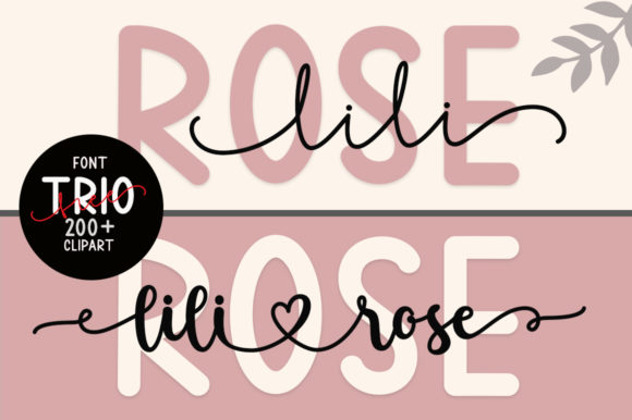 Lilirose: A Dainty Script Font for Editorial Design